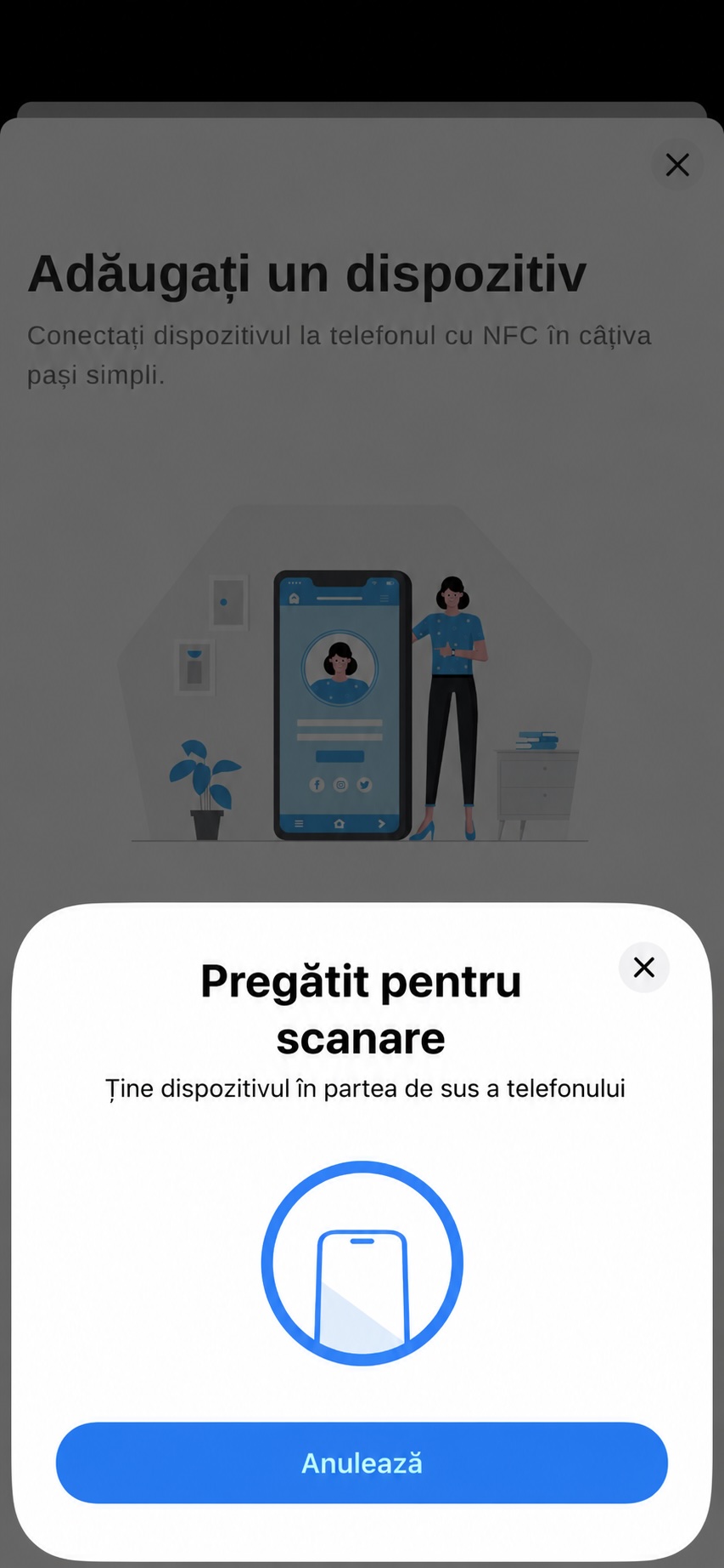 carneo pay 4 ro